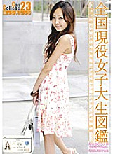 EVO-047 DVD Cover