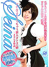 PRB-041 DVD Cover