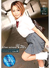 GST-013 DVD Cover