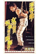 PK-008 DVD Cover