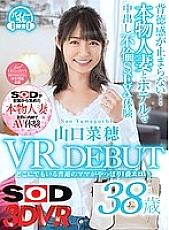 DSVR-352 DVD Cover