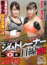 DSVR-408 Sampul DVD