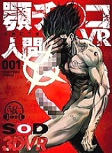 DSVR-536 DVD Cover