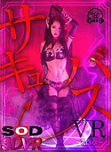 3DSVR-0549 Sampul DVD