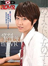 3DSVR-0607 DVD封面图片 
