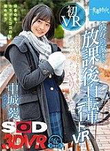 DSVR-640 DVD Cover