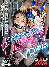 3DSVR-0704 Sampul DVD