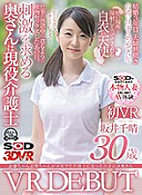 3DSVR-1102 DVD Cover