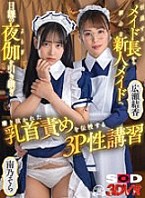 DSVR-01159 DVD Cover