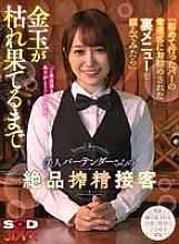 DSVR-01236 DVD Cover
