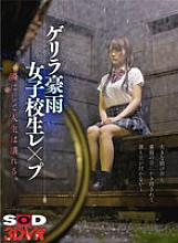 DSVR-01445 DVD Cover