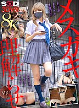 DSVR-01633 DVD Cover