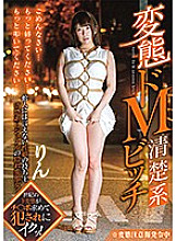 GVG-817 DVD Cover