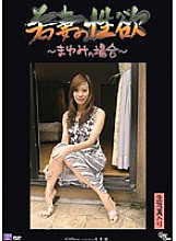 ISD-14 DVD Cover