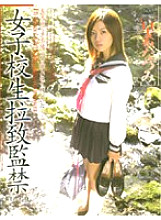 M-333 DVD Cover