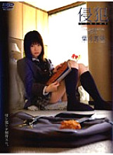 M-371 DVD封面图片 