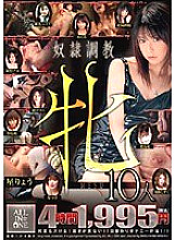 ALD-206 DVD Cover