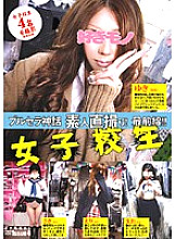 DMS-17 DVD Cover