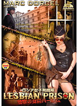 DSD-459 DVD Cover