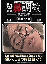 AAA-009 DVD Cover
