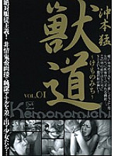 DZSD-01 DVD Cover