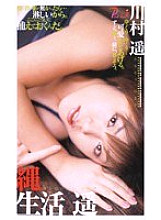 PK-025 Sampul DVD