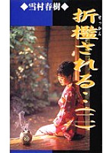 SSI-002 DVD Cover