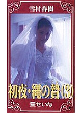 SW-003 DVD Cover