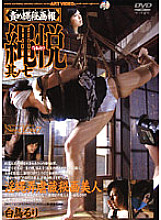 ADV-R0208 DVD Cover