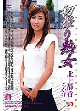 DSE-203 Sampul DVD