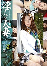 DSE-765 Sampul DVD