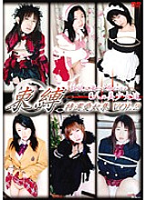 DSBB-02 DVD Cover
