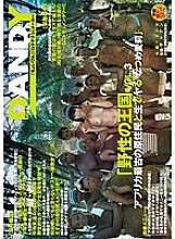 DANDY-462 Sampul DVD