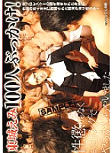 NHDT-373 DVD Cover