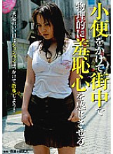 NHDT-671 DVD Cover