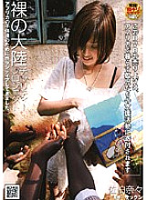 NHDT-704 DVD Cover