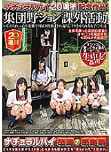 NHDTB-100335 DVD Cover