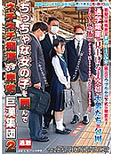 NHDTB-489 DVD Cover