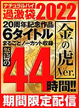 NHKB-003 DVD Cover
