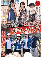 PIYO-100127 DVD Cover