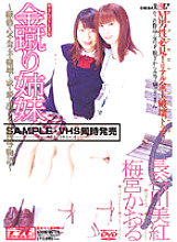 SDDM-375 DVD Cover