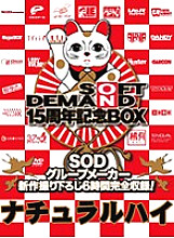 SDDS-017-C DVD封面图片 
