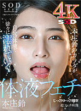 SDHS-019 DVD封面图片 