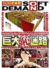 SDMS-100190 DVD Cover