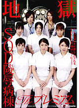 SDMS-395 DVD Cover