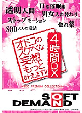 SDMS-449 DVD封面图片 