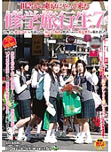 SDMT-462 DVD Cover