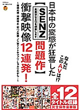 SSHN-009 DVD封面图片 