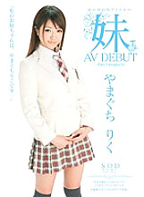 STAR-262 DVD Cover