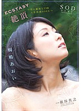 STAR-401 DVD Cover